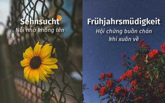 42 1 10 Tu Tieng Duc Doc Nhat Vo Nhi Va Dep Nhu Tho De Goi Ten Nhung Cam Giac Khong The Noi Thanh Loi