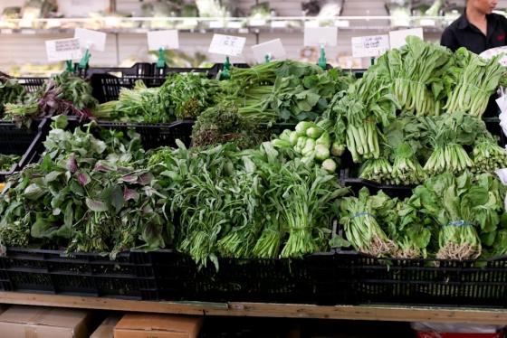 42 6 Bao Duc Viet Ve Tinh Trang Khong Phep O Dong Xuan Cho Lon Nhat Cua Nguoi Viet O Berlin