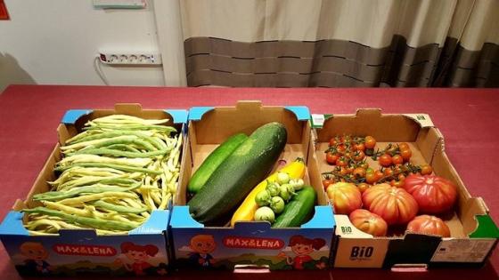 42 10 Khu Vuon Cai Gi Cung Co Cua Me Viet O Duc