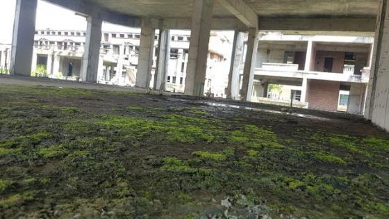 42 6 Lanh Nguoi Ben Trong Sieu Du An 2 Ty Do O Xu Lang