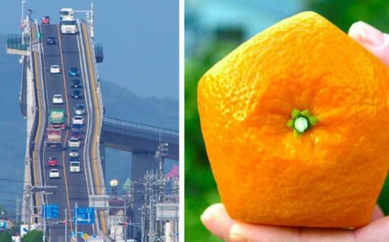 15 phát minh đỉnh cao ở Nhật Bản khiến bạn nhận ra chúng ta và họ dường như cách nhau cả thế kỷ