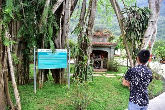 42 3 Ky La Cay Da Di Chuyen O Ninh Binh