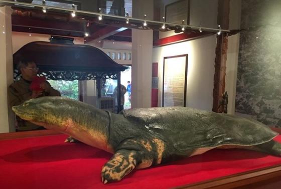 42 1 Thu Hien Bang Thuringen Quan Tam Den Mau Vat Cu Rua Ho Guom