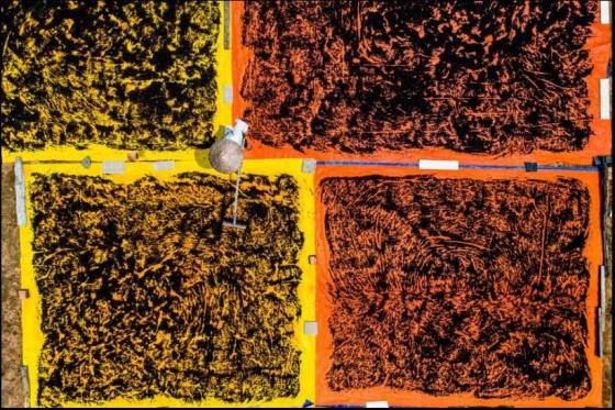 42 10 Viet Nam Dep Nghet Tho Qua Ong Kinh Nhiep Anh Gia My