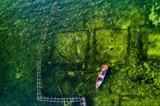 42 3 Viet Nam Dep Nghet Tho Qua Ong Kinh Nhiep Anh Gia My