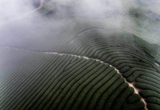 42 6 Viet Nam Dep Nghet Tho Qua Ong Kinh Nhiep Anh Gia My