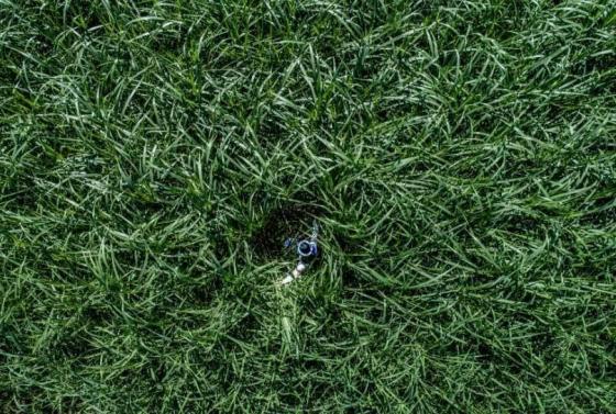 42 8 Viet Nam Dep Nghet Tho Qua Ong Kinh Nhiep Anh Gia My