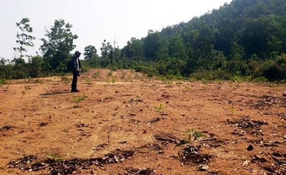 42 5 Chua Ba Vang O Quang Nam Nhan Tien Ty Cong Duc Roi Mat Hut