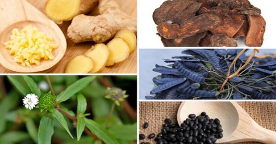 123 cách chữa bệnh dân gian dễ nhớ