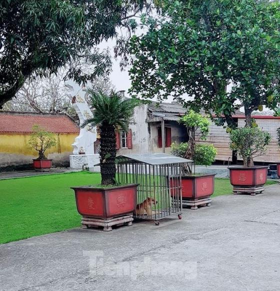 42 2 Ky Luat Su Tru Tri Doa Tha Cho Can Nat Mat Phat Tu