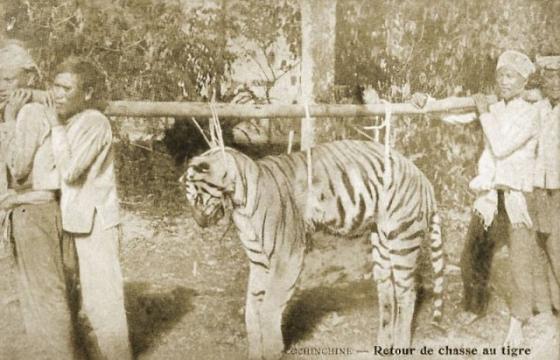 42 13 18 Buc Anh Hiem Ve Cuoc Song O Viet Nam Cua Ong Cha Ta 100 Nam Truoc So 4 Rat Dang De Xem