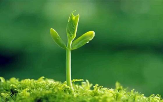 42 1 Lam Nguoi Thang O Tam Nhin Thua O Tinh Toan Lam Viec Thang O Nhan Cach Thua Tai Thong Minh