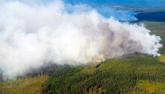 42 1 Nang Nong Gay Chay Rung Tai Duc