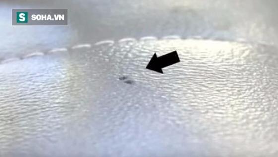 42 2 Dung Tien Tay De Chai Nuoc Loc Len Ghe Xe O To Hiem Hoa Khon Luong Nhieu Nguoi Chua Biet