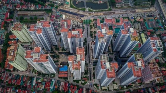 42 2 Rung Chung Cu Chen Chuc O Cua Ngo Phia Tay Ha Noi