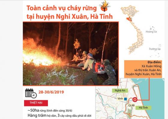 42 2 Noi Dau Dai Ngan Ung Hien Qua Giac Lua Thieu Tan La Phoi Xanh