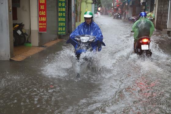 42 1 Pho Ha Noi Ngap Nuoc Cuon Cuon Xe Hop Bang Bang Re Song