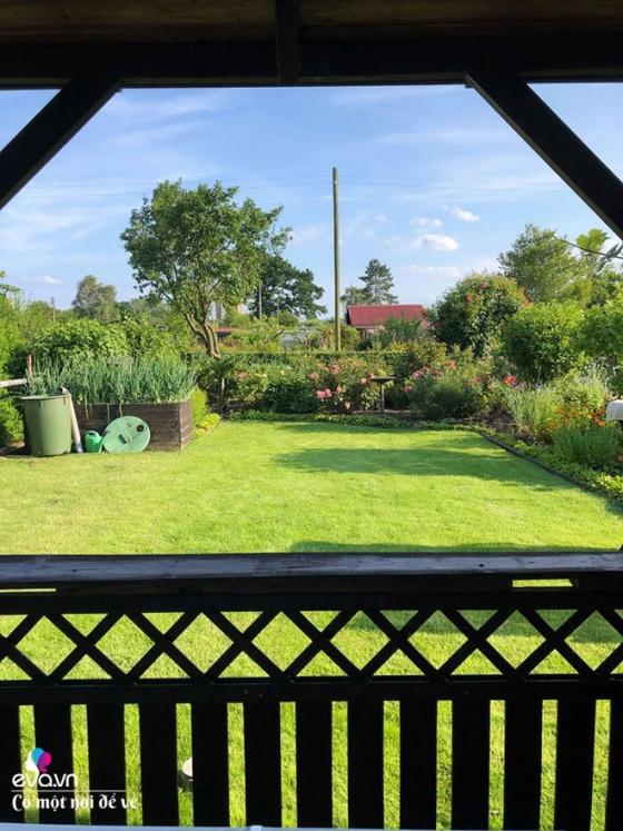 42 6 Doi Chong Mua Vuon Tan Ben Duc Me Viet Gay Bat Ngo Sau 3 Nam Hoc Cuoc Dat Trong Hoa