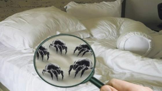 42 3 Muon Song Lau Tuyet Doi Tranh Lam 6 Hanh Dong Nay Vao Buoi Sang