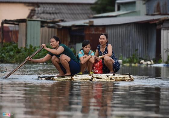 42 2 Dao Ngoc Phu Quoc Pho Nui Da Lat Chim Trong Bien Nuoc   That Nhu Dua