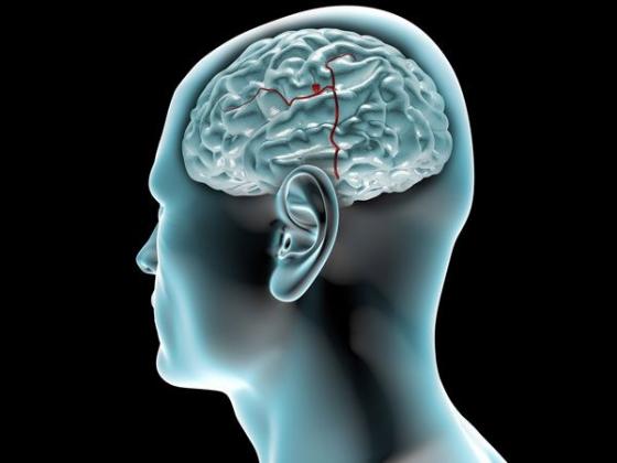 42 2 Loi Ich Suc Khoe Cua Qua Na