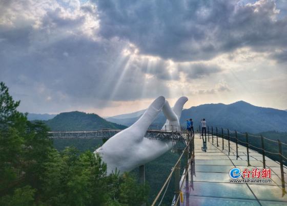 42 3 Xon Xao Cay Cau Trung Quoc Nhai Cau Vang Cua Viet Nam