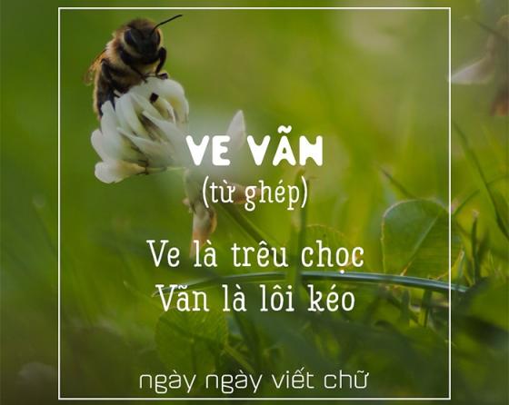 42 8 Phu Nu Viet Nam Thuong Hay Duoc Khen Tao Tan Nhung Tao Va Tan Co Nghia La Gi