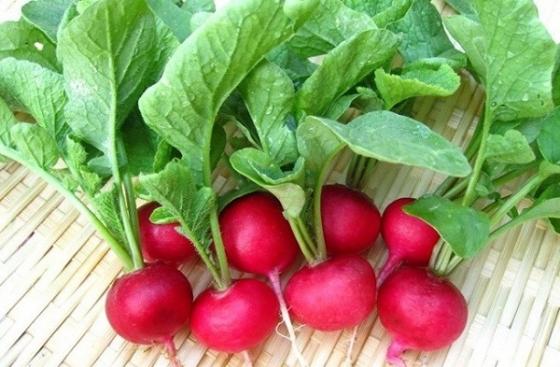 42 3 Nhung Loai Nuoc Ep Tu Thien Nhien Gia Re Beo Giai Doc Gan Cuc Tot