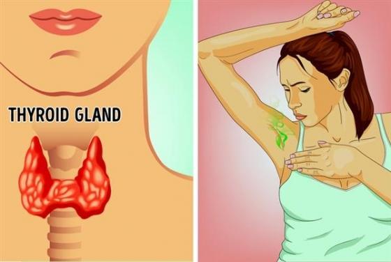 42 3 8 Nguyen Nhan Khien Ban Do Mo Hoi Nhieu