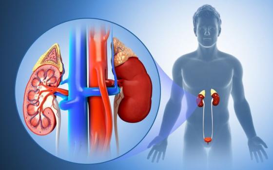 42 1 Tien Si Nam Khoa Canh Bao 3 Thoi Quen Uong Nuoc Pha Hong Than Rat Nhieu Nguoi Mac