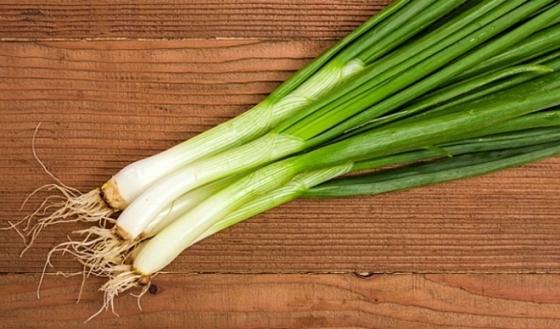 42 1 Cong Dung Chua Benh Cua Cay Hanh