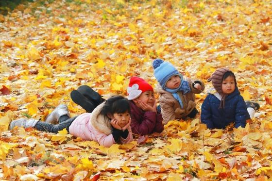 42 3 Nga Ruc Ro Mua Thu Vang Tai Cong Vien Kolomensk O Thu Do Moskva