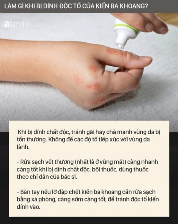 42 5 Doc To Cua Kien Ba Khoang Manh Gap 12 15 Lan Ran Ho Mang Nhan Biet Kien Ba Khoang Va Phong Tranh Chat Doc Cua Chung Dinh Vao Da