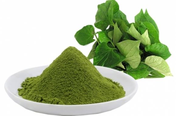 42 1 4 Cach Chua Benh Tri Don Gian Tai Nha Bang Rau Diep Ca