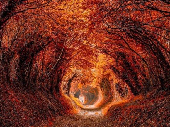 42 4 7 Con Duong Mua Thu Nhu Chi Co Trong Co Tich