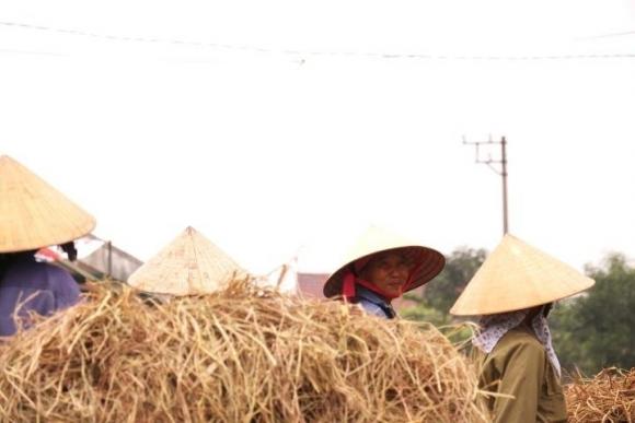 42 11 Net Doc Dao Ve Cho Ban Rom Duy Nhat Tai Mien Que Ngheo Ha Tinh