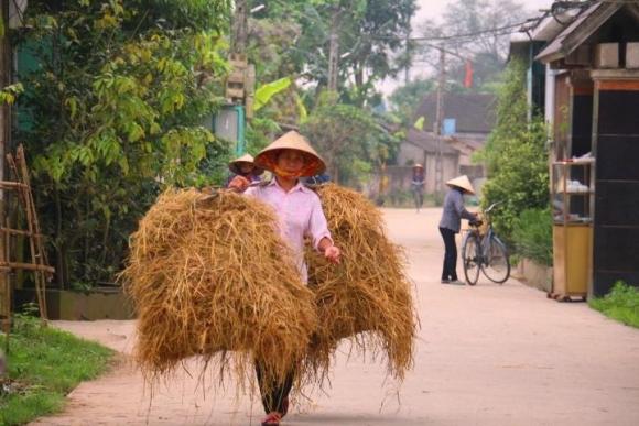 42 6 Net Doc Dao Ve Cho Ban Rom Duy Nhat Tai Mien Que Ngheo Ha Tinh