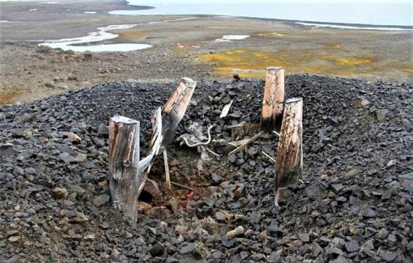 Trạm khí tượng bí mật của phát xít Đức đã bị gấu “xóa sổ” như thế nào?