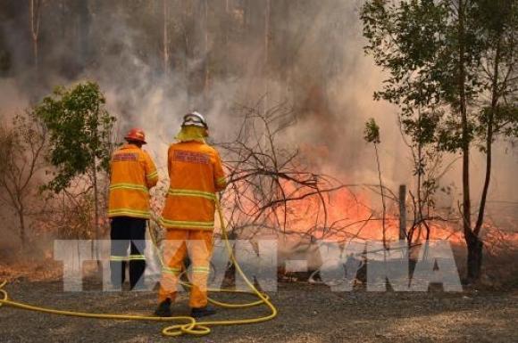 42 2 Chuyen Gia Cac Vu Chay Rung O Uc La Do Gio Mua Keo Dai O An Do