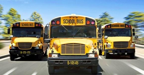 Nhìn ra thế giới: Vì sao những chiếc xe bus vàng ở Mỹ được ‘ưu ái’ và quan tâm đến thế