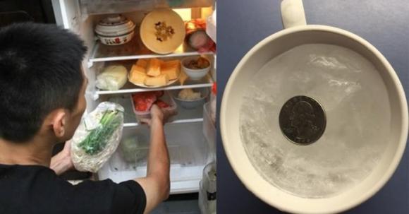 Vì sao mọi người nên bỏ đồng xu vào tủ lạnh trước khi đi chơi xa