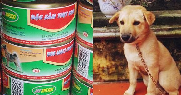 42 1 Cong Dong Mang Phan Ung Voi Thit Cho Dong Hop San Xuat Tai Viet Nam