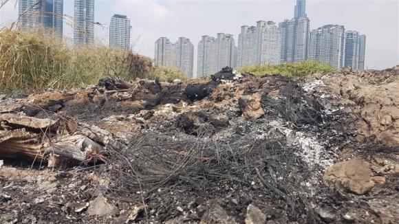 42 1 Dac Diem Nhan Dang Nghi Can Giet Nguoi Cuop Tai San Roi Dot Xe Phi Tang O Sai Gon Nguoi Han Quoc Dang Thu Sinh Da Trang Deo Kinh Can