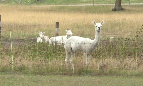 Hòn đảo nguy hiểm nhất nước Đức