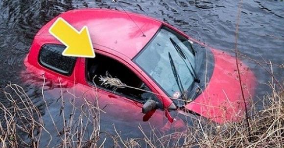 Bí quyết thoát khỏi những tình huống nguy hiểm trong gang tấc để tự cứu sống mình