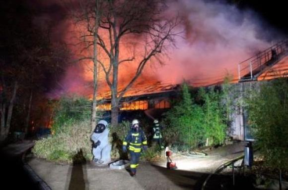 42 1 Hoa Hoan Nghiem Trong Tai Vuon Thu O Duc