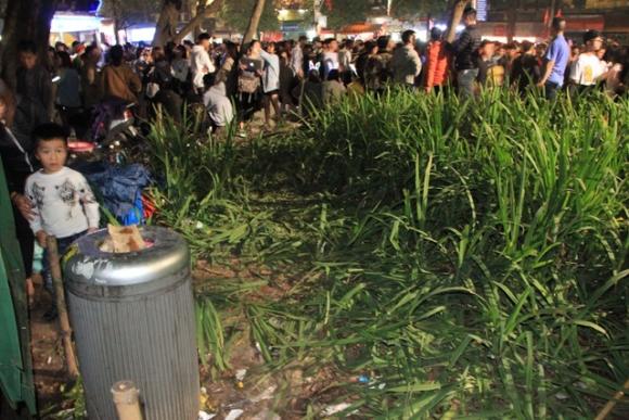 42 1 Vuon Hoa Ven Ho Guom Bi Giam Nat Sau Man Phao Hoa Chao Nam Moi