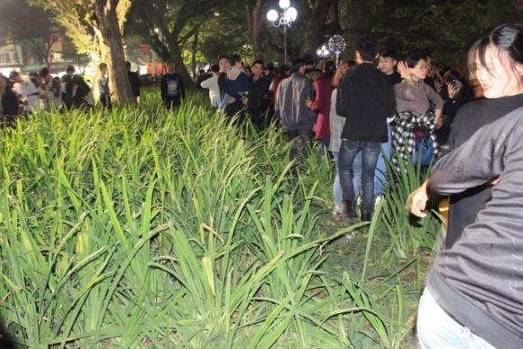 42 3 Vuon Hoa Ven Ho Guom Bi Giam Nat Sau Man Phao Hoa Chao Nam Moi