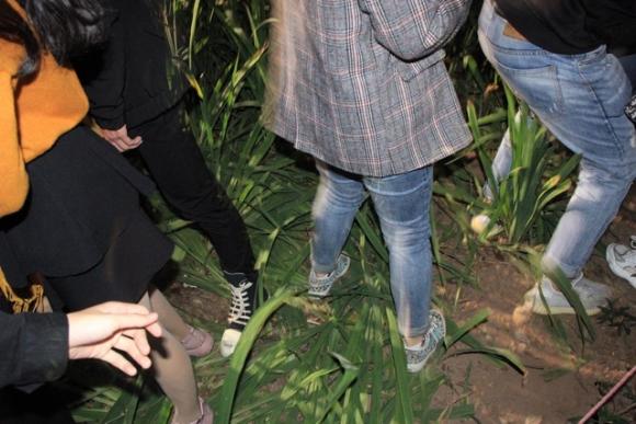 42 4 Vuon Hoa Ven Ho Guom Bi Giam Nat Sau Man Phao Hoa Chao Nam Moi