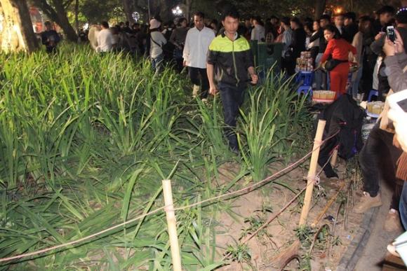 42 5 Vuon Hoa Ven Ho Guom Bi Giam Nat Sau Man Phao Hoa Chao Nam Moi